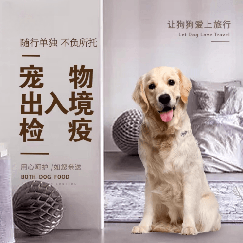 普陀区宠物托运到哥伦比亚猫狗宠物入境规定和