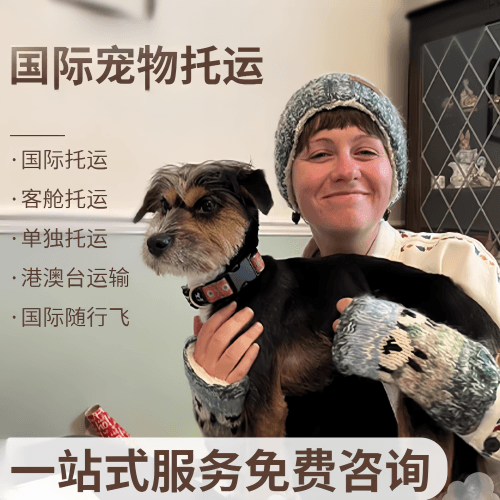 普陀区国际宠物托运到阿根廷宠物入境规定和要