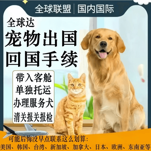 普陀区宠物托运到柬埔寨宠物入境规定和要求